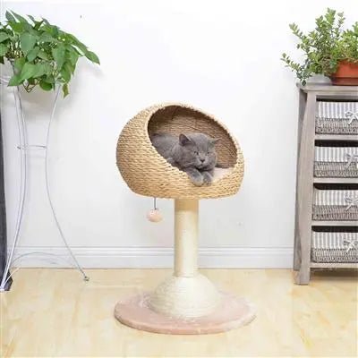 Sustainable Cat Tree in use