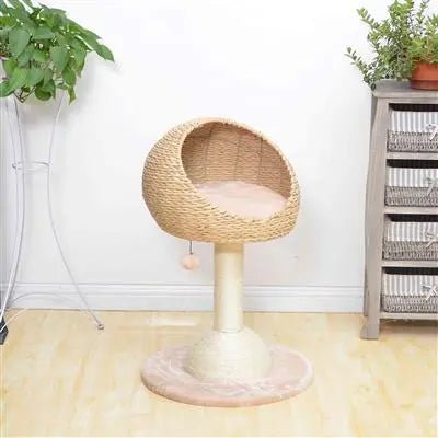Sustainable Cat Tree Live View