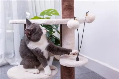 Petpals Quartz Handwoven, Eco-Friendly, Sustainable Medium Cat Tree PremiumPetsPlus