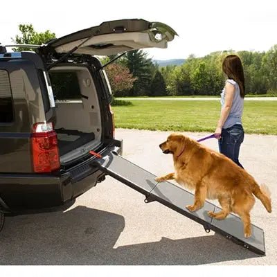 Portable Full Length Tri-Fold Pet Ramp - Grey / Black - PremiumPetsPlus