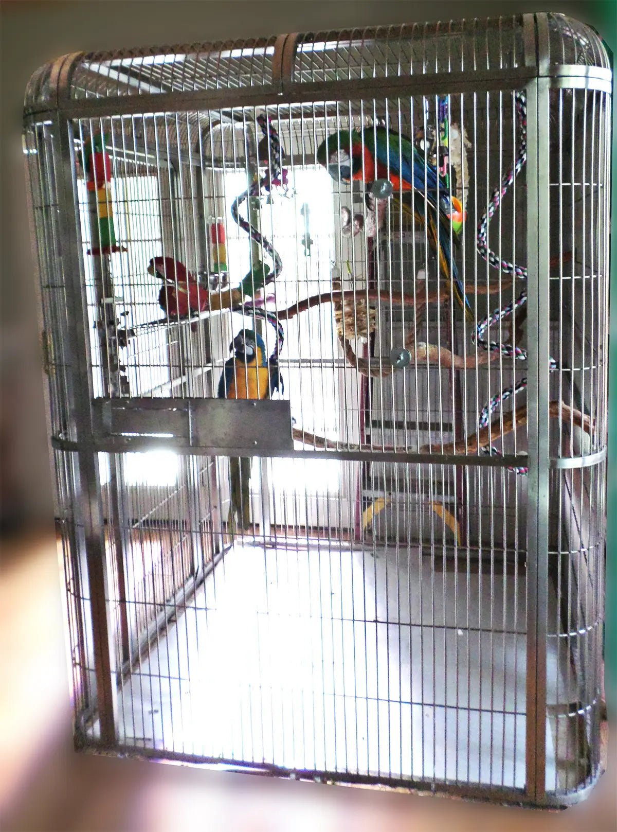 Walk-in Aviary 62'' x 62'' x 79'' - PremiumPetsPlus