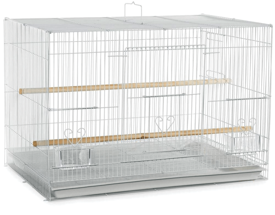 Flight Cage in Color Retail Box 24"x16"