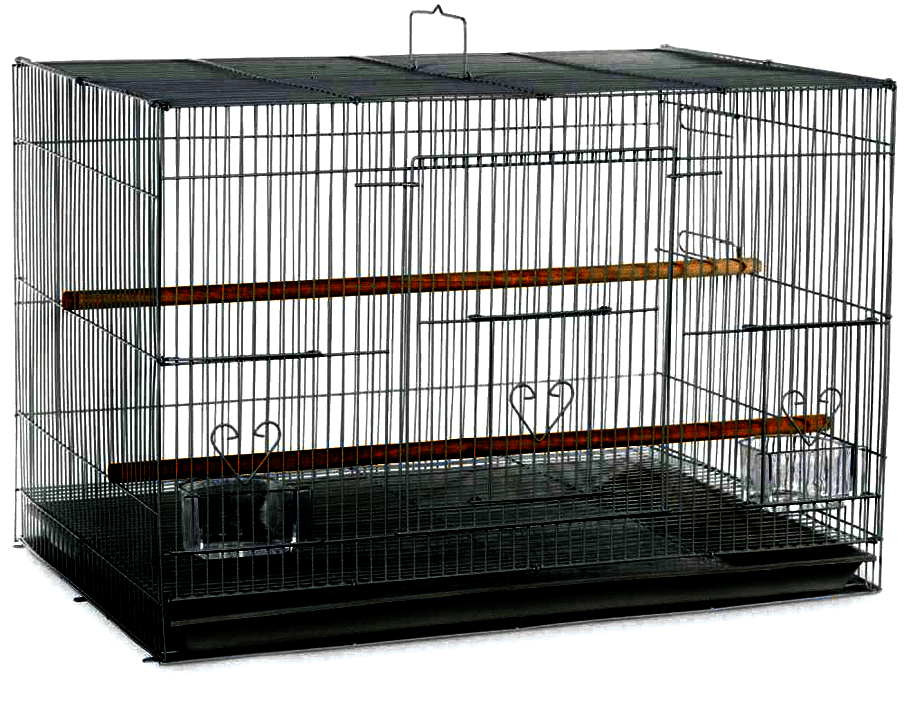 Flight Cage in Color Retail Box 30"x18"