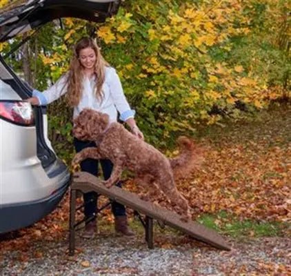 Free-Standing Extra Wide Carpeted Pet Ramp - PremiumPetsPlus