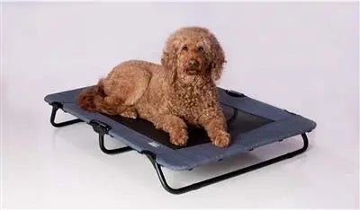 Lake Blue Pet Cots - PremiumPetsPlus