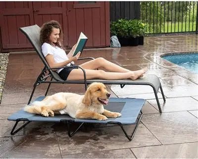 Lake Blue Pet Cots - PremiumPetsPlus