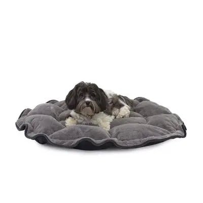 Lily Pad Bed - PremiumPetsPlus