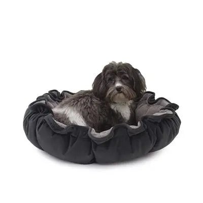 Lily Pad Bed - PremiumPetsPlus