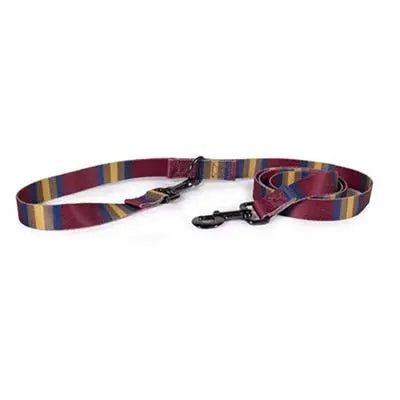 National Park Adventure Leash - Zion - PremiumPetsPlus