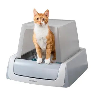 PetSafe ScoopFree Self-Cleaning Litter Box Covered - PremiumPetsPlus