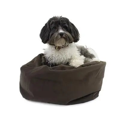 Transformer Bed - PremiumPetsPlus