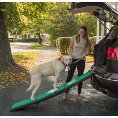 Tri-Fold Travel Lite Ramp With supertraX